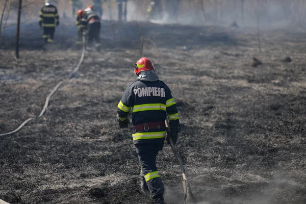 Bucarest Roumanie Avril 2022 Les Pompiers Tentent Éteindre Feu Végétation — Photo
