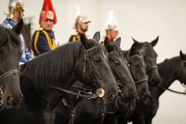 骑上罗马尼亚Jandarmi的黑马 来自罗马尼亚宪兵队的骑马者 — 图库照片