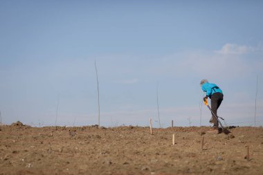 Kuru, çorak ve tozlu topraklarda kürek kullanan yaşlı bir kadın..