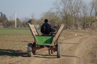 Ialomita, Romanya - 19 Kasım 2022: Romen çiftçi güneşli bir sonbahar gününde at ve arabasını tarladan sürdü.