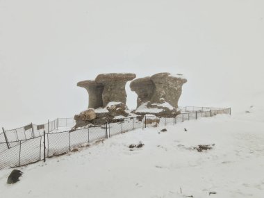 Romanya 'nın Bucegi Dağları' ndaki Bucegi Doğal Parkı 'ndaki doğal bir kaya oluşumu olan Babele (Yaşlı Kadınlar) taş grubu, bir kış günü kar fırtınası sırasında.