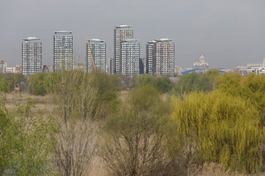 Bükreş, Romanya - 25 Mart 2023: Romanya 'nın Bükreş kentindeki Vacaresti Doğa Parkında arka planda apartman blokları bulunuyor.