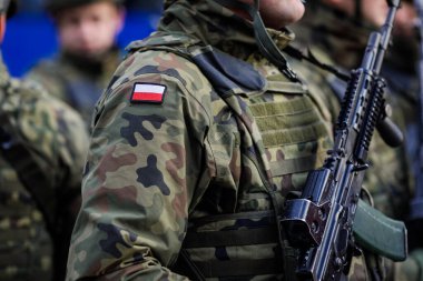 Bükreş, Romanya - 1 Aralık 2023: Romanya Ulusal Günü askeri geçidi sırasında üniformalı Polonyalı bir askerin ayrıntıları.