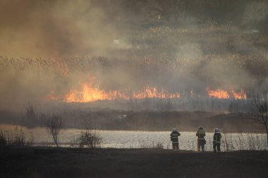 Doğu Avrupa 'nın büyük bir kentindeki bir sulak alandaki çoğunlukla kuru sazlık fabrikalarının büyük yangınları.
