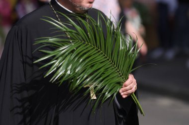 Romanian Orthodox priests holding palm leaves walk on the streets of Bucharest during a Palm Sunday pilgrimage procession. clipart