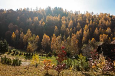 Romanya 'nın Piatra Craiului dağları yakınlarındaki Magura köyünün sonbahar manzarası.