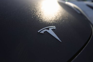 Soğuk bir kış sabahı kaputunda Tesla logosu olan sığ alan derinliği (seçici odak) ayrıntıları