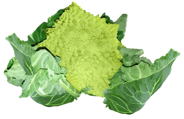Gyönyörű Fotó Zöldséges Ételekről Romanesco Zöldség Zöld Szín Egyedi Példány — Stock Fotó