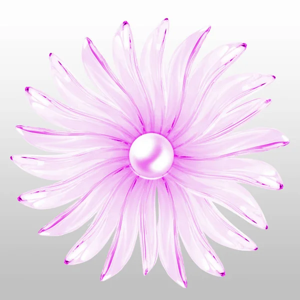 Pink Flower Isolated White Background — Stock Photo, Image