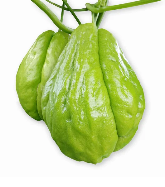 Delicious Green Chayote Fruit Isolated Royalty Free Stock Photos