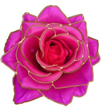 Kırpma yolu olan beyaz arka planda izole edilmiş pembe gül çiçeği. Üst Manzara. Düz yatıyordu.