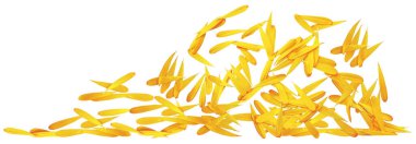 Beyaz zemin üzerine sarı yaprakları