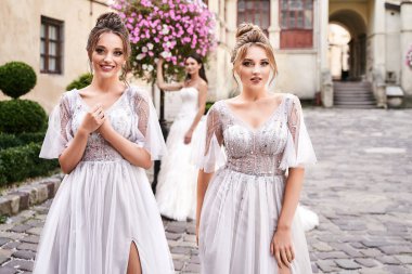 Güzel gelin ve nedimeler yazın bir düğün gününde eski güzel Avrupa şehrinde parlak gümüş elbiseler giyerler. Elbiseler zemin uzunluğunda ya da yarım kollu uzun tüllerdir.