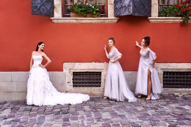 Güzel gelin ve nedimeler yazın bir düğün gününde eski güzel Avrupa şehrinde parlak gümüş elbiseler giyerler. Elbiseler zemin uzunluğunda ya da yarım kollu uzun tüllerdir.