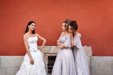 Güzel gelin ve nedimeler yazın bir düğün gününde eski güzel Avrupa şehrinde parlak gümüş elbiseler giyerler. Elbiseler zemin uzunluğunda ya da yarım kollu uzun tüllerdir.