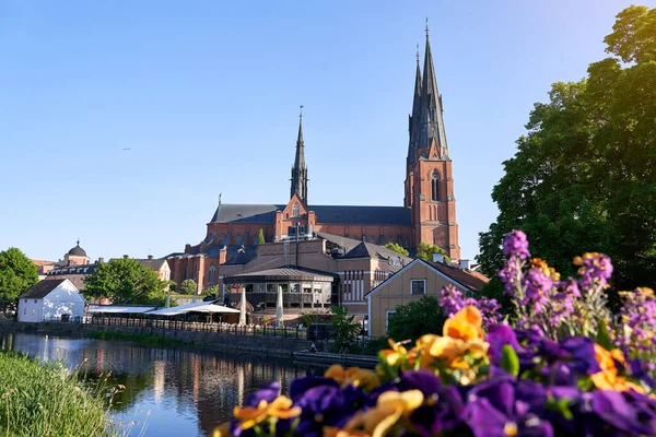 Schöne Aussicht Auf Die Kathedrale Und Den Fluss Fyris Uppsala — Stockfoto