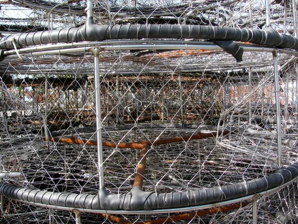 Stacks Stainless Steel Wire Crab Traps — Stock Photo, Image