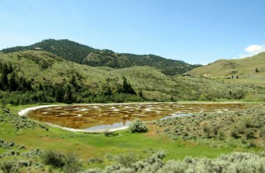 Osoyoos, Okanagan Vadisi, British Columbia, Kanada yakınlarında bir göl görüldü.