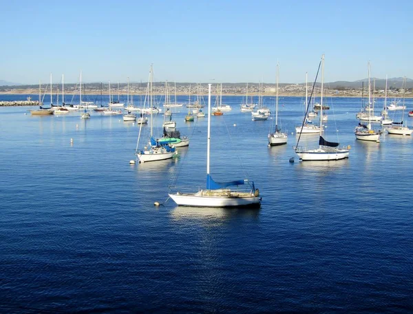 Boats Mooring Monterey Harbour California Usa — Stock Photo, Image