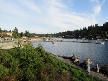 Bellevue 'deki Meydenbauer Bay Park' taki rıhtım manzarası, Washington Gölü, WA, ABD