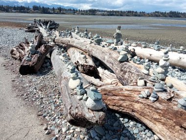Stacked pebble stones stacked on brown wooden logs. Parksville Beach, Vancouver Island, BC, Canada clipart