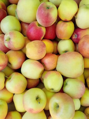 Pile of Ambrosia apples in a market stall. Keremeos, BC, Canada clipart