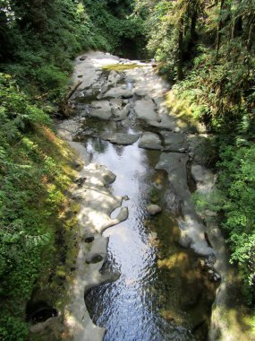 Kanaka Creek, Kanaka Creek Bölgesel Parkı, Maple Ridge, British Columbia, Kanada 'nın katı kaya yatağı.