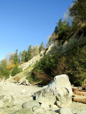 Wreck Sahili üzerinde güzel bir uçurum, Vancouver, BC, Kanada