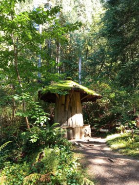 Capilano Nehri Bölge Parkı, Kuzey Vancouver, BC, Kanada 'da şirin mantar tezgahı.