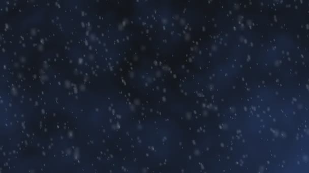 Animation Slowly Falling Snowflakes Dark Sky Volume Effect — Stock Video