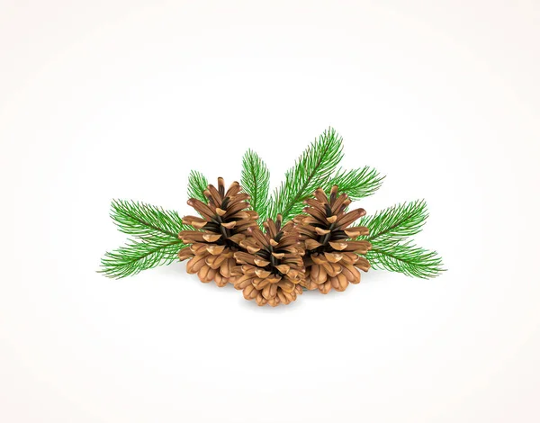 Zimní Vánoční Design Zelenými Borovicovými Větvemi Suchými Kužely Izolovanými Bílém — Stockový vektor