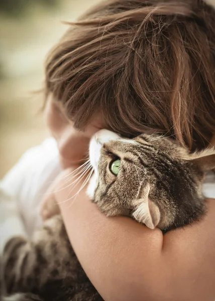 Little Boy Hugging His Cute Cat Close Portrait — Stock Photo, Image