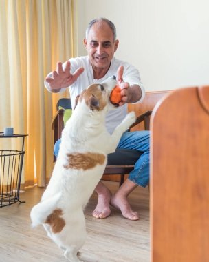 63 yaşında neşeli, kıdemli bir Türk, sıcak bir evde Jack Russell teriyeri köpeğiyle oynuyor. Köpek ve sahibi birlikte evde vakit geçirmekten hoşlanırlar, arkadaşlığı ve evcil hayvan sevgisini sembolize ederler..
