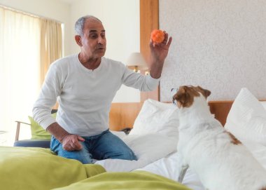 Gülümseyen yaşlı Türk adam yatakta topla oynarken Jack Russell teriyeriyle eğleniyor. Samimi bir yaşam tarzı. Sıcak bir ev ortamında mutluluk ve sıcaklıkla dolu..