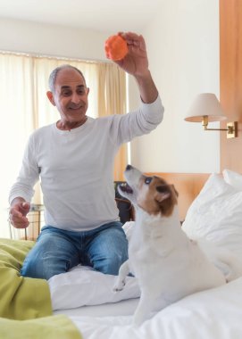 Olgun bir adam küçük köpeğiyle yatakta vakit geçirir, topla oynar. Bir yuva ortamında özgün bir sevgi, oyun ve arkadaşlık anı..