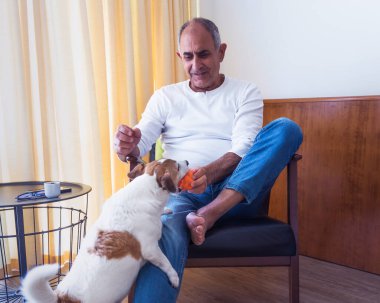 Bir koltukta oturan ve enerjik Jack Russell teriyer köpeği ile içeride oynayan Türk kökenli gülümseyen kıdemli adam. Samimi an sıcaklığı, dostluğu ve rahat bir aile ortamında günlük yaşamı gösteriyor..