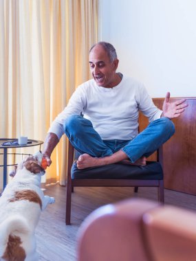 Mutlu kıdemli bir adam şevkle Jack Russell teriyeri ile sandalyede bacak bacak bacak üstüne atarak oynuyor. Evde neşeli ve eğlenceli bir anı paylaşırken köpek topu ısırır..