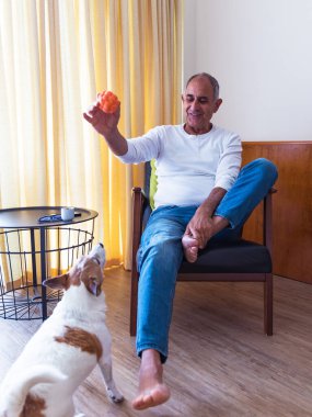 Yaşlı Türk adam odada oturuyor ve küçük köpek Jack Russell terrier ile top oynuyor