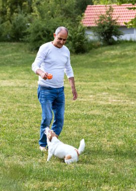 Gülümseyen yaşlı adam, güneşli bir yaz gününde Jack Russell Terrier 'ının heyecanlı bir şekilde havlamasını izliyor. Arka planda evi olan yeşil bir çimenlikte yakalandı..