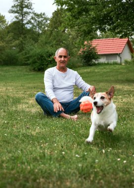 Üst düzey bir Türk, yaz çimlerinde oturmuş Jack Russell Terrier 'ının zafer topuyla yere yatışını izlerken neşeyle güler. Arka bahçede sıcak ve rahat bir arkadaşlık anı..