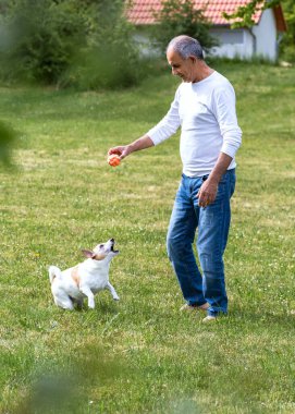 Uzun kollu beyaz gömlekli ve kot pantolonlu enerjik bir son sınıf öğrencisi güneşli bir çimenlikte Jack Russell Terrier ile yakalamaca oynuyor. Yaz günü, yalınayak, neşeli etkileşim, arka planda ev.