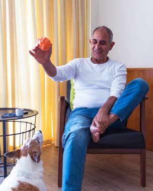 Sadık Jack Russell teriyeriyle içeride yakalamaca oynayan dost canlısı yaşlı bir adam. Köpek hevesle bekler, topa bakar..