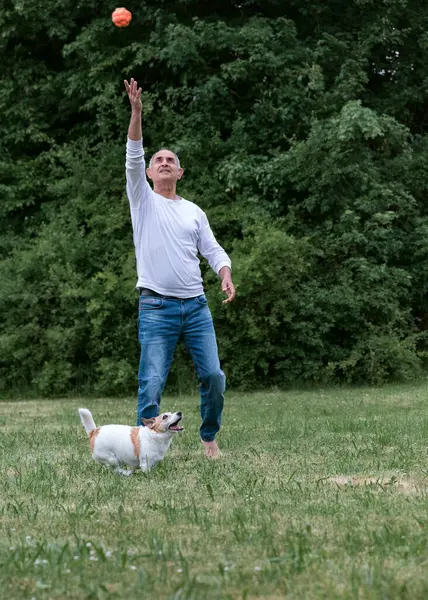 Bir Jack Russell Terrier, çıplak ayaklı yaşlı bir adamın attığı topa doğru son sürat koşuyor. Fotoğraf, yerel bir ortamda hareket, enerji ve neşe yakalıyor..