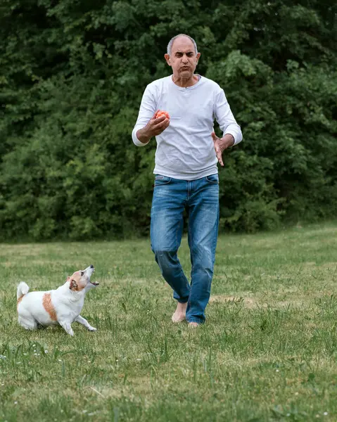 Üst düzey bir Türk, Jack Russell Terrier 'ını köpeklerin kafasının üstünde tutarak kızdırıyor. Köpek tetikte ve istekli. O an, neşeli ve bağlanma enerjisiyle dolu. Arka plandaki ev.