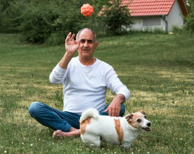 Hızlı hareket eden Jack Russell Terrier, sakince çimlerin üzerinde oturan çıplak ayaklı yaşlı bir adamın yanından geçiyor. Köpek ağzında bir top taşıyor, neşe ve heyecan dolu. Arka planda ev ve çimenler sıradan bir yaz tonu oluşturur.