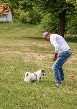 Yaşlı bir adam bahçesinde Jack Russell Terrier 'ıyla oynaşıyor. Adam ayakta durup topu fırlatırken köpek hevesle koşar ve havlar. Arka planda fayanslı çatılı küçük bir ev görünüyor..
