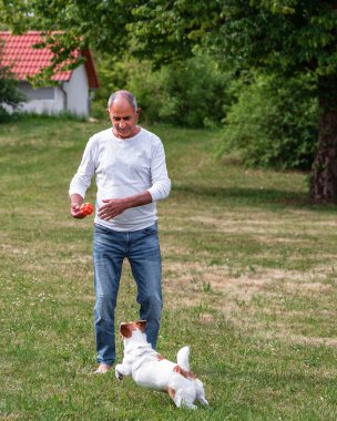 Kot pantolon ve uzun kollu beyaz gömlek giyen yaşlı bir adam, güneşli bir çimenlikte enerjik bir Jack Russell Terrier ile yakalamaca oynuyor. Köpek havlar ve topu yakalamaya çalışan adamın etrafında koşar. Arka planda fayanslı çatılı küçük bir ev bulanıklaşıyor. Şey...