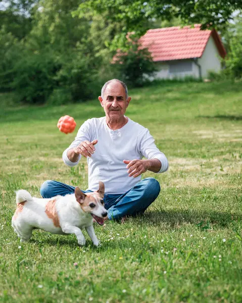 Kot pantolon ve uzun kollu beyaz gömlek giyen çıplak ayaklı bir adam çimlerin üzerinde rahatça oturur ve oyuncu Jack Russell terrier 'i için top atar. Köpek, sıcak bir yaz gününde coşkuyla havlayarak, açık havada eğlencenin canlı bir anını yakalar.