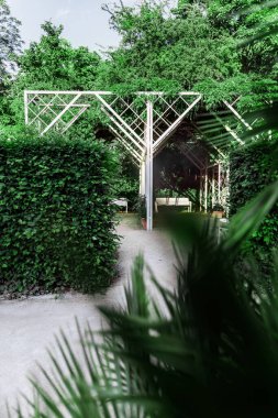 Rosengarten Coburg 'da budanmış çalılar ve tropik yeşilliklerle çevrili zarif beyaz çardak. Yürüme yolu ve huzurlu park atmosferi olan yaz bahçesi kompozisyonu.