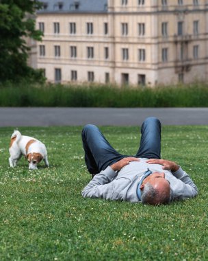 Son sınıf öğrencisi, Coburg Hofgarten 'de yeşil çimlerin üzerinde Jack Russell Terrier ile yürüyor. Tarihsel Ehrenburg Sarayı arka planda görünüyor. Rahatlama, arkadaşlık, açık hava refahı..